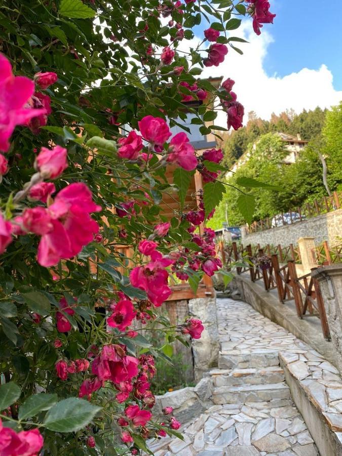 Bulut Dagevi * איידר יאילאסי